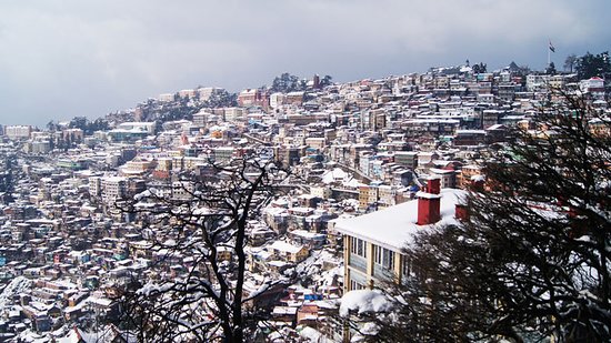 Shimla